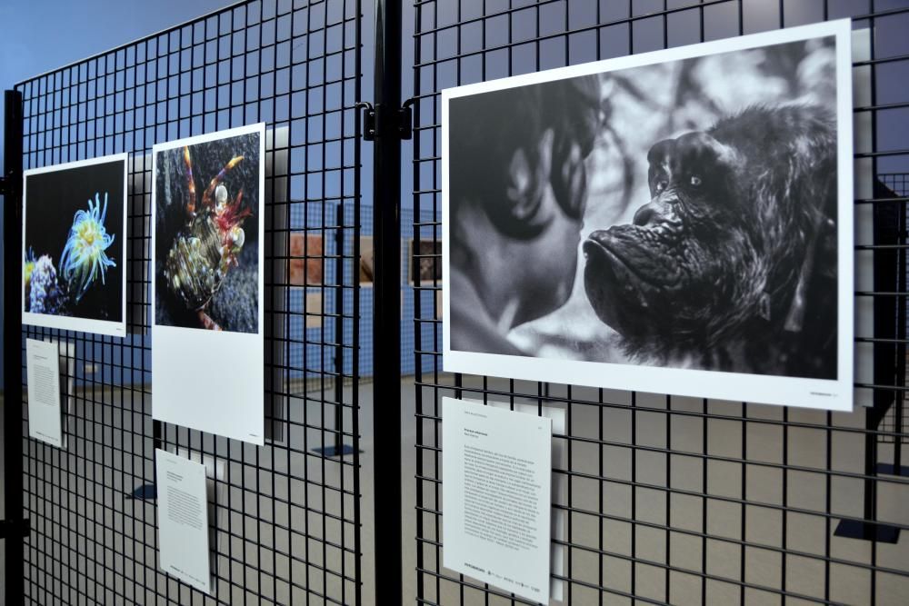 Fotociencia en el Muncyt