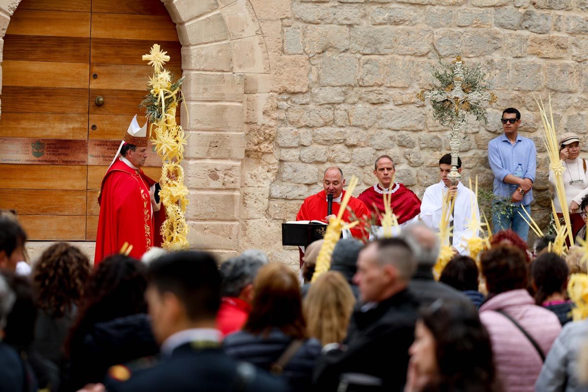 Todas las imágenes de la procesión de la Borriquita en Ibiza