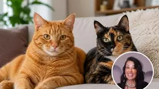 María Cristina Clemente, notaria: "¿Quieres dejar algo en tu testamento para que cuiden de tu mascota? La clave es quién comprueba que se cumple"