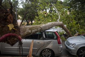 Les tempestes d'avui.