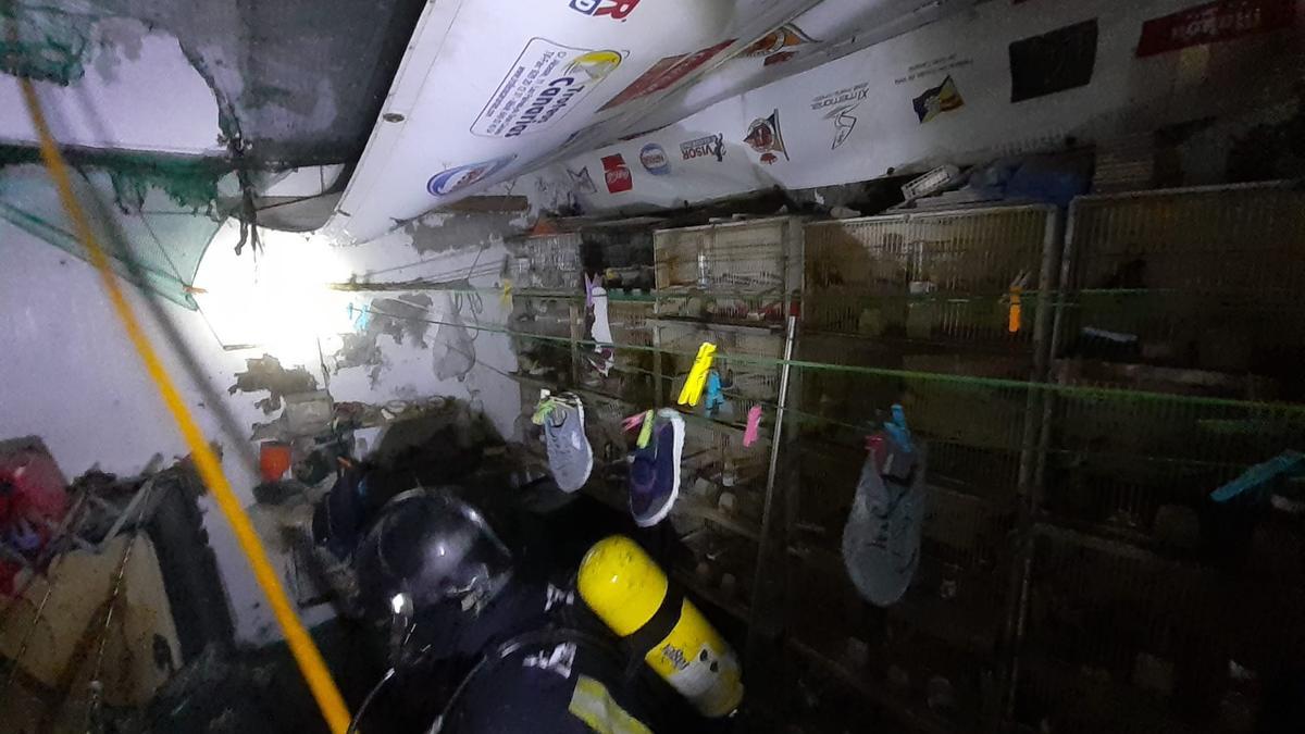 Un bombero junto a las jaulas de pájaros en el patio de una vivienda en Zárate.