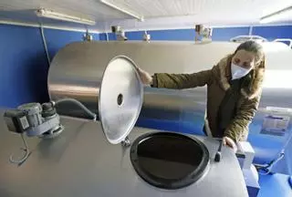 El sector agroalimentario gallego colapsa por falta de piensos y de recogida animal