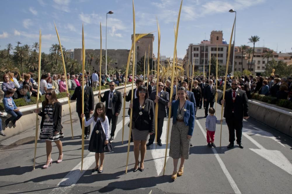 Domingo de Ramos en Elche