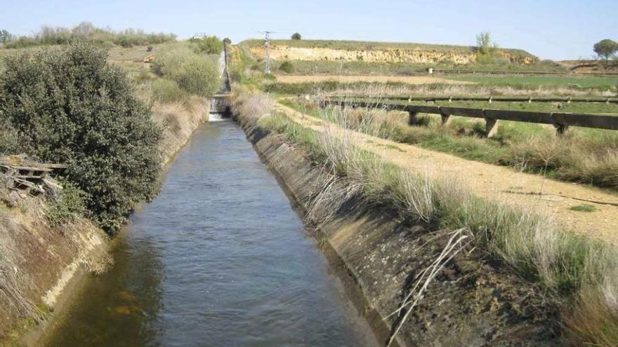 Canal de riego en Navianos de Valverde.