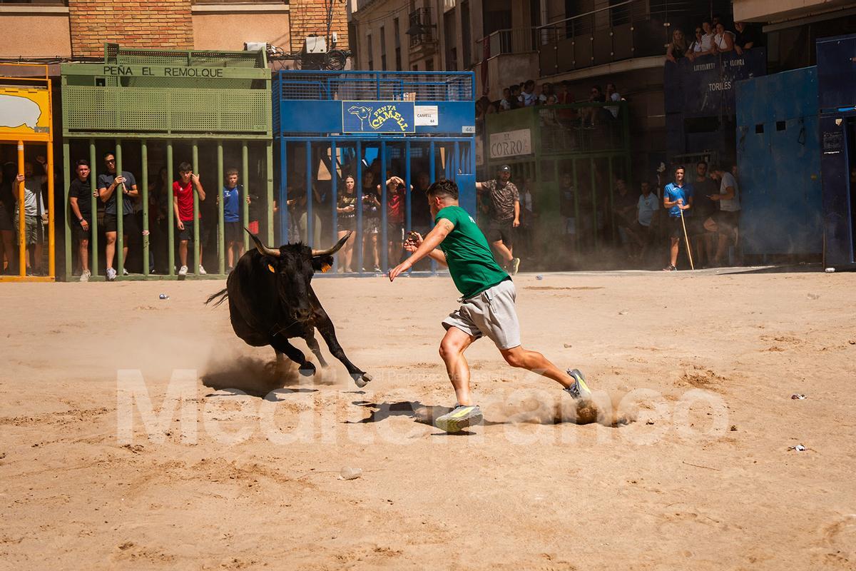 Bous a l'Alcora 2025