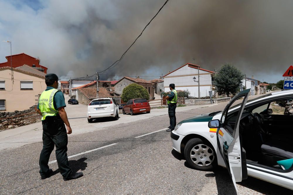 Incendio Pino del Oro y Castro de Alcañices