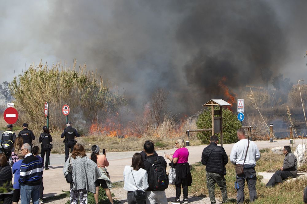 Aparatoso incendio en el delta del Palancia del Port de Sagunt.