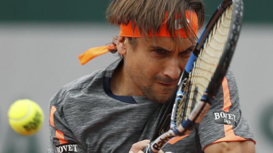 David Ferrer