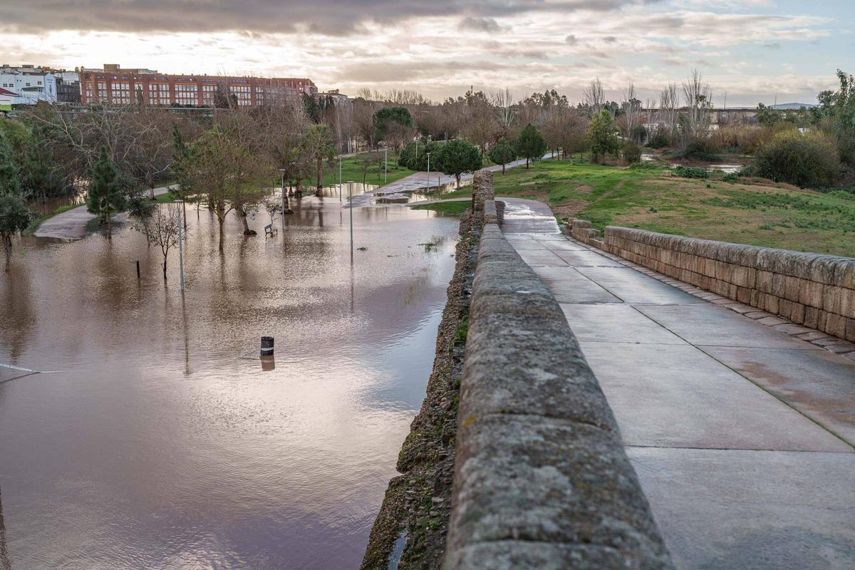 Fotogalería | Así se encuentra este viernes la isla de Mérida tras la subida que ha experimentado el caudal del Guadiana