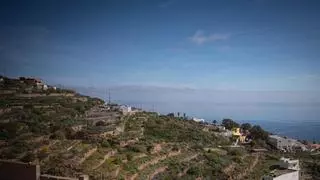 Lomo de Mena en Güímar: el pulso de la serenidad