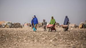 13 milions de persones en risc de fam a la Banya d’Àfrica