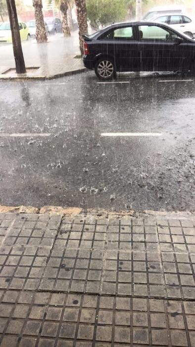 Las imágenes de los lectores de la granizada en Elche