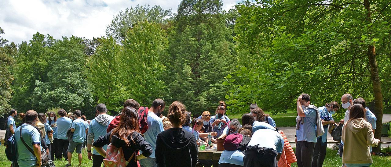 Jóvenes en una actividad del parque de La Cebera, una de las mayores superficies arboladas de Lugones