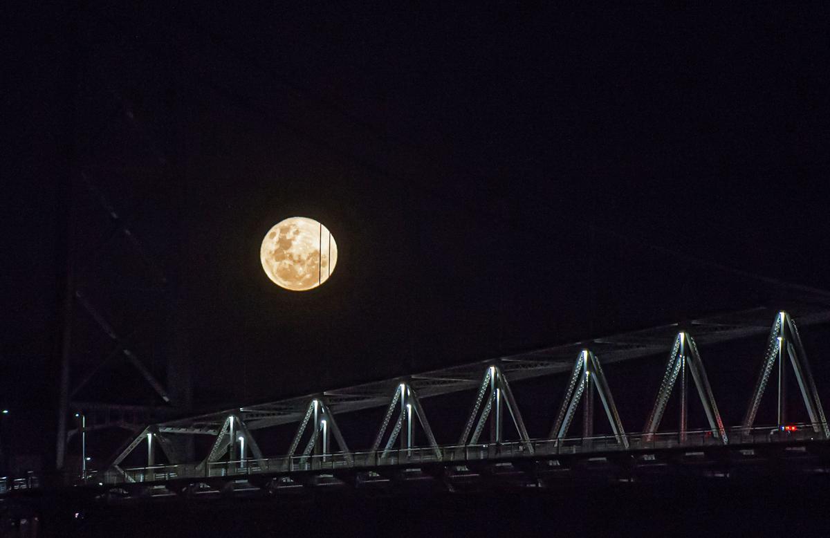 Puente de Hercilio Luz. Florianópolis. Brasil.