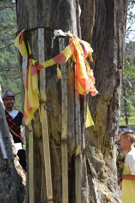 L'aplec del Pi de les Tres Branques manté viva la