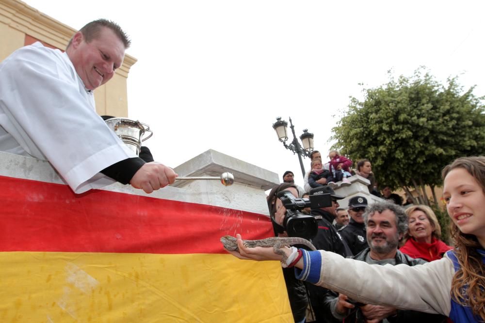 Bendición de los animales en Cartagena