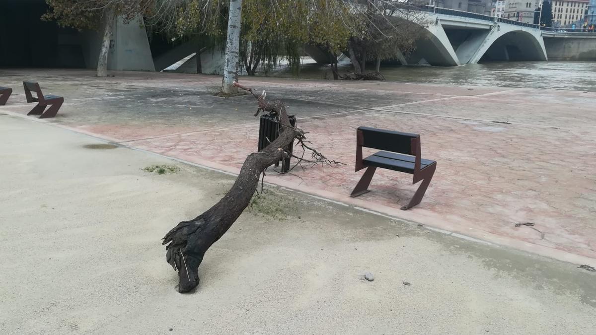 Zaragoza empieza a limpiar los efectos de la crecida