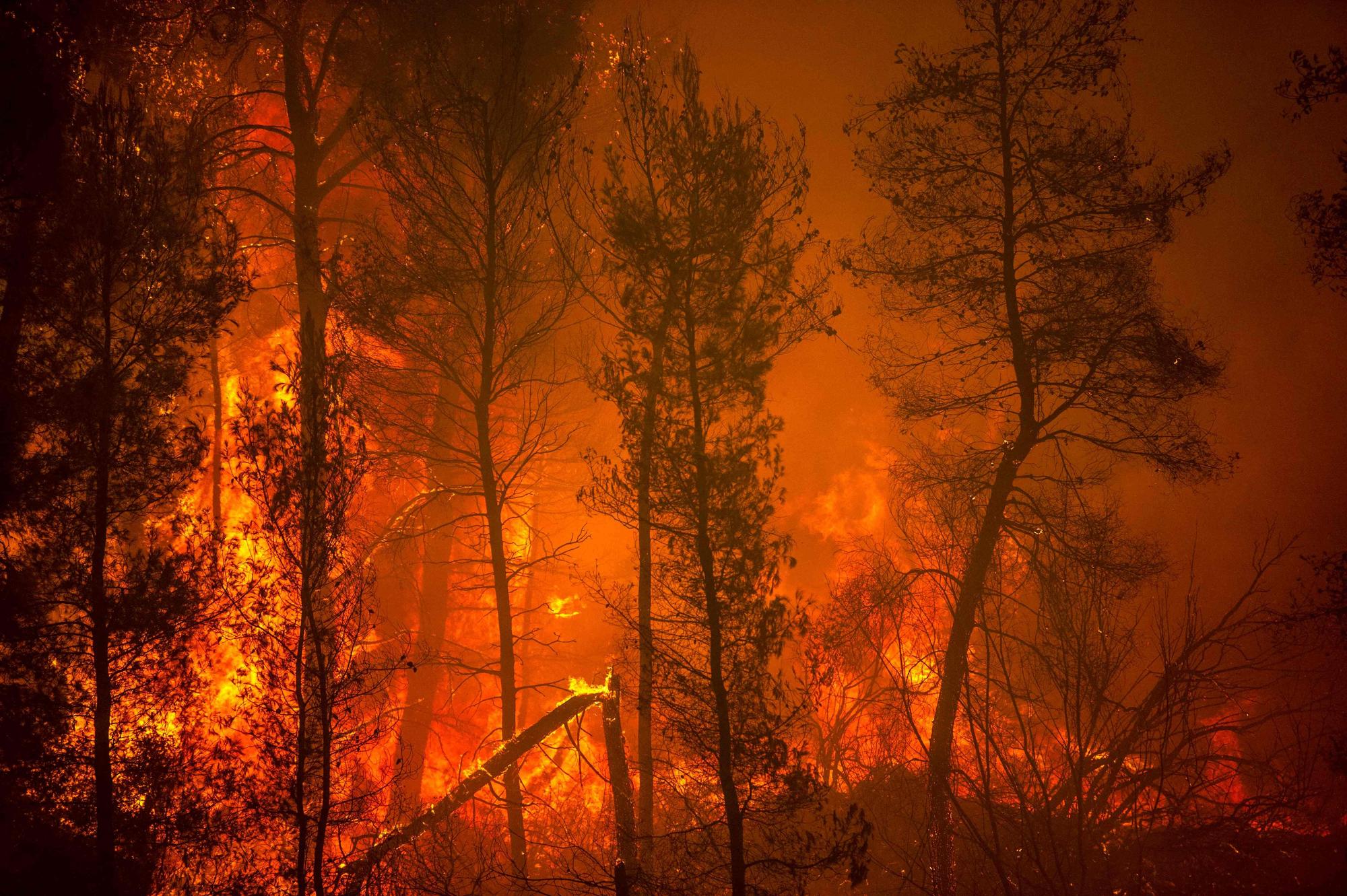 Las llamas devoran los bosques de Evia.