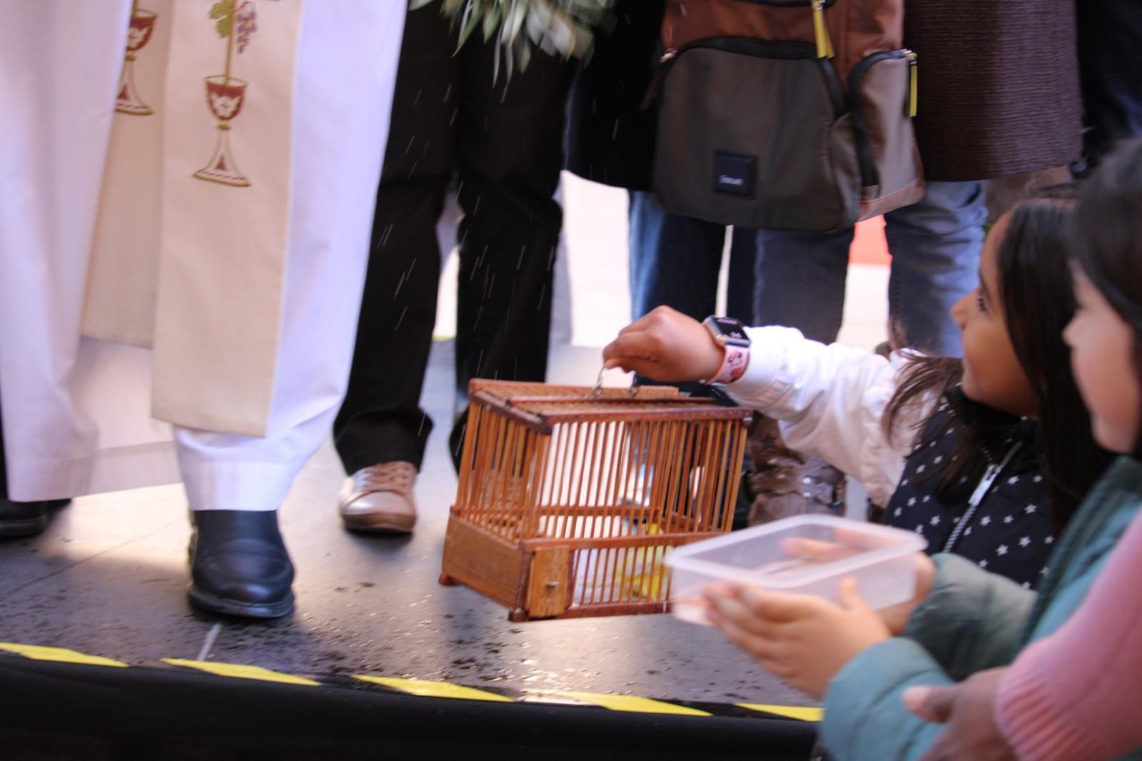 El Campello celebra la bendición tradicional en por Sant Antoni del Porquet