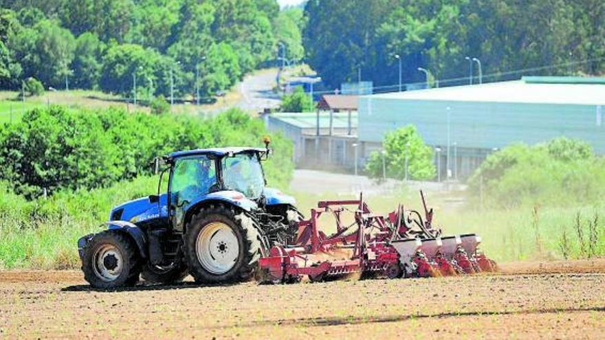 Los precios de las fincas de labor y de monte se estancan en Deza