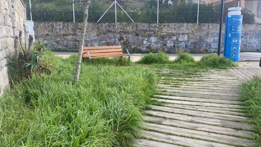 La hierba cubre parte del paseo de madera de Rodeira. | // FDV