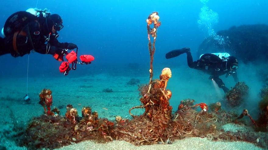 Neix un projecte pioner a la Costa Brava perquè els banyistes i bussejadors ajudin a localitzar xarxes de pesca fantasma