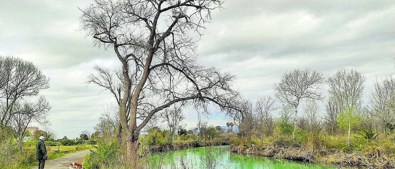 El proyecto para el Clot de la Mare de Déu contempla la nueva pasarela y continuar con la reforestación del paraje.