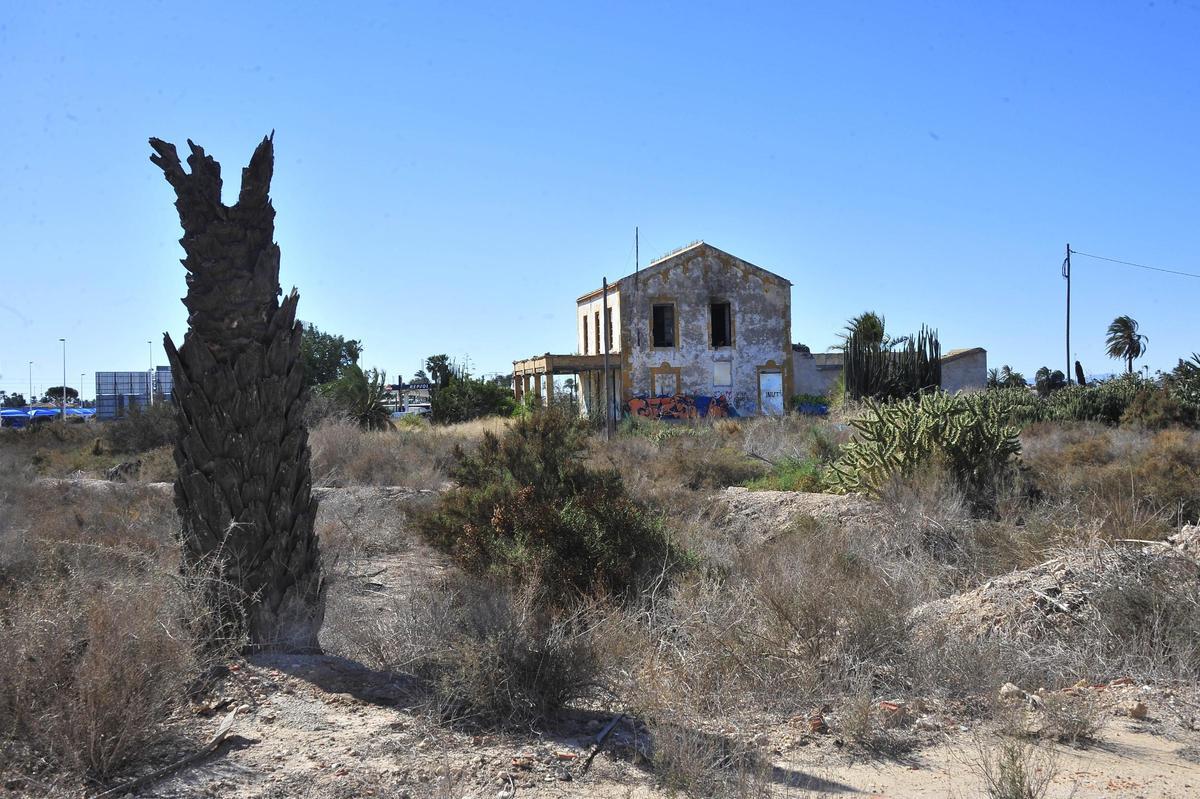 Una vista del sector, en una imagen de archivo, con restos de una de las palmeras que se quemaron en su día.