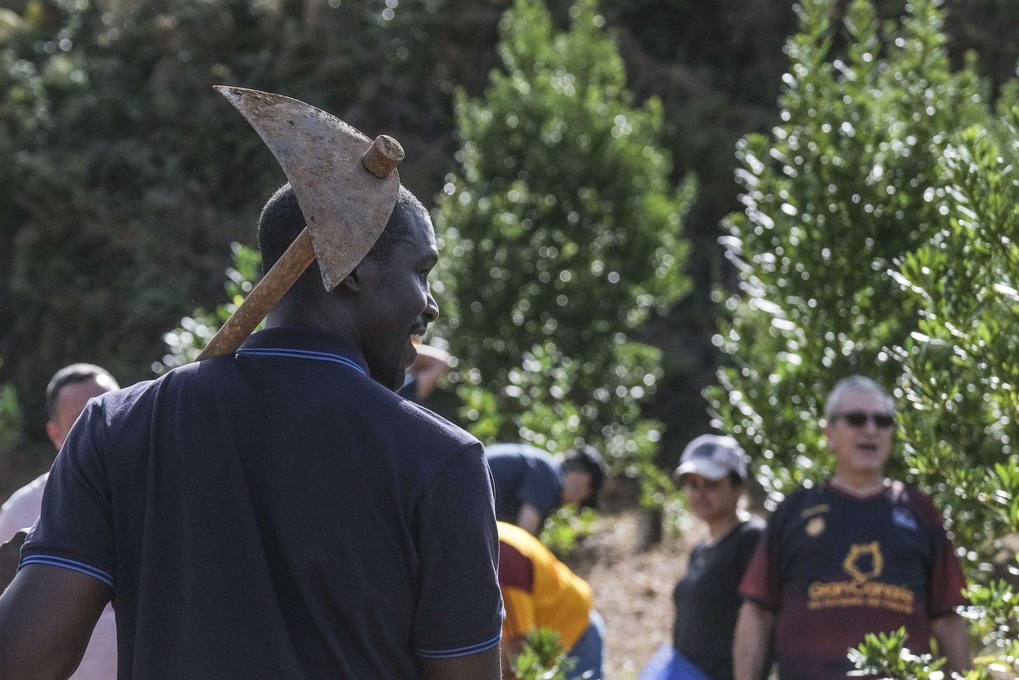 Reforestación 'Compromiso Granca'