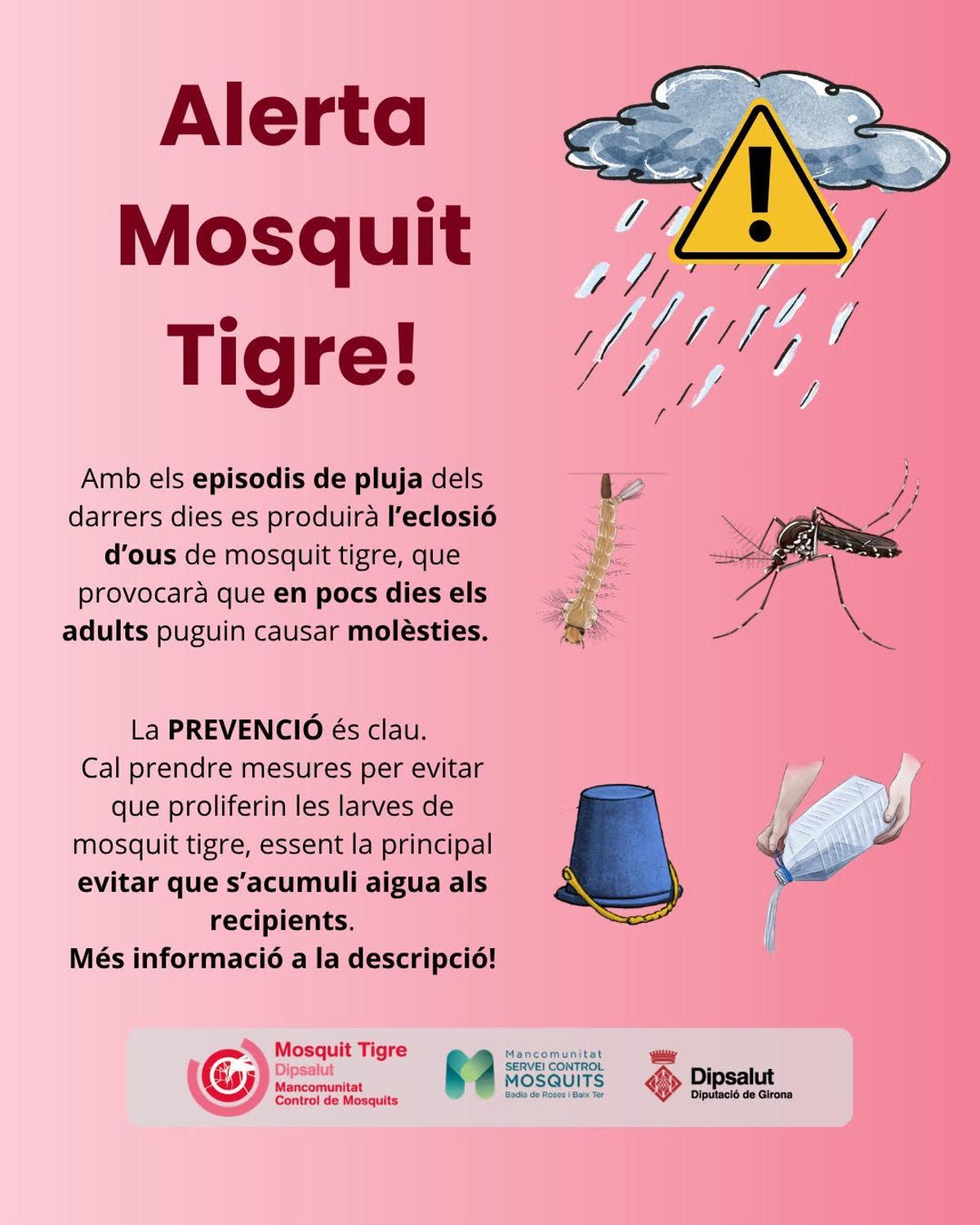 Cartell de l'alerta per la possible aparició del mosquit tigre.