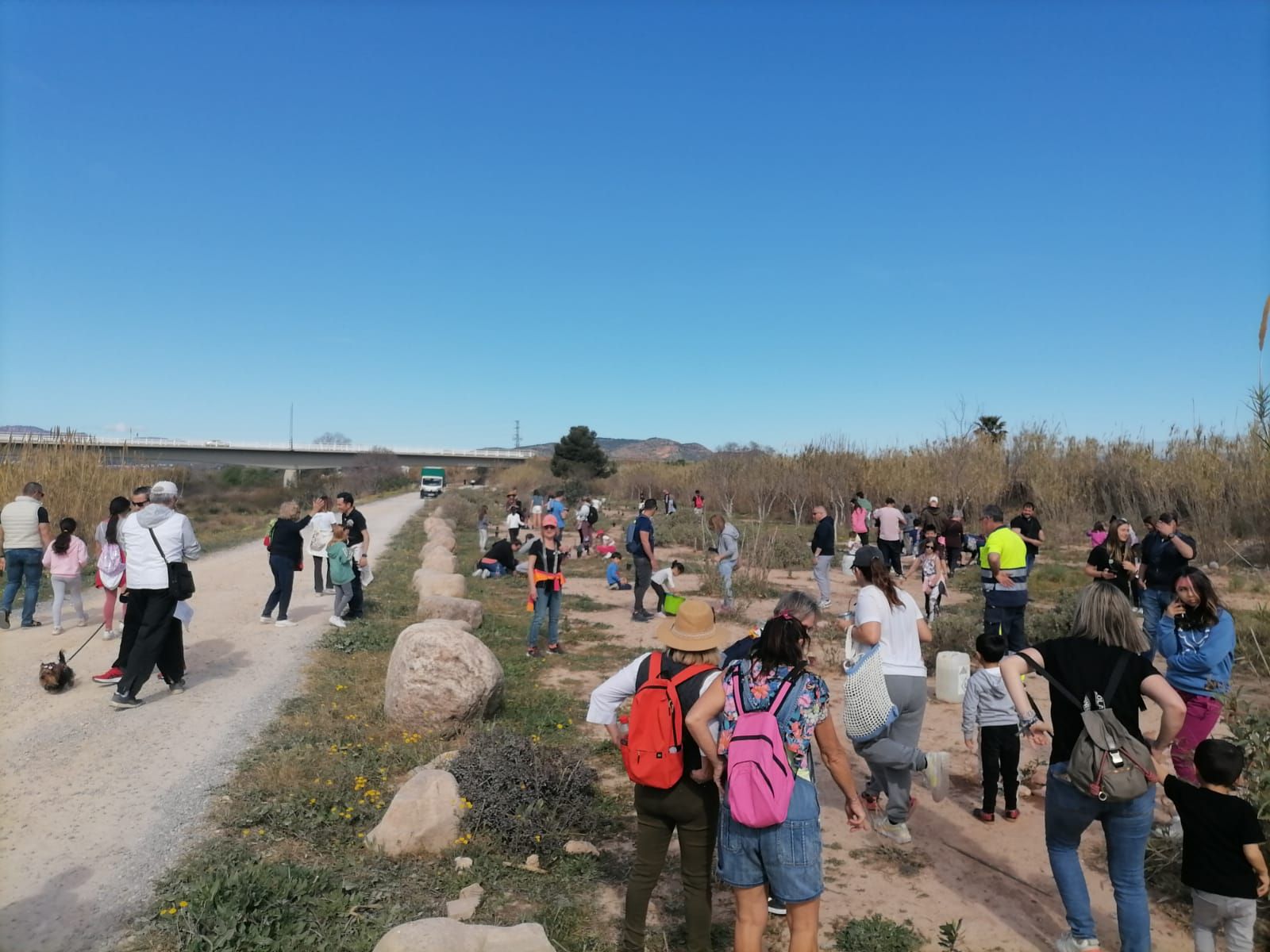 Niños y niñas de Canet d'En Berenguer plantan árboles en el rio Palancia