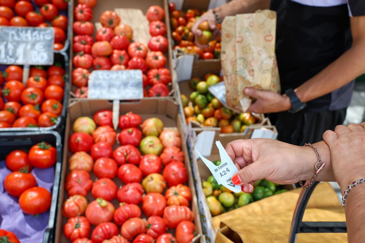 Archivo - Cajas de tomates en un mercado de la Comunidad de Madrid, a 12 de junio de 2024, en Madrid (España).