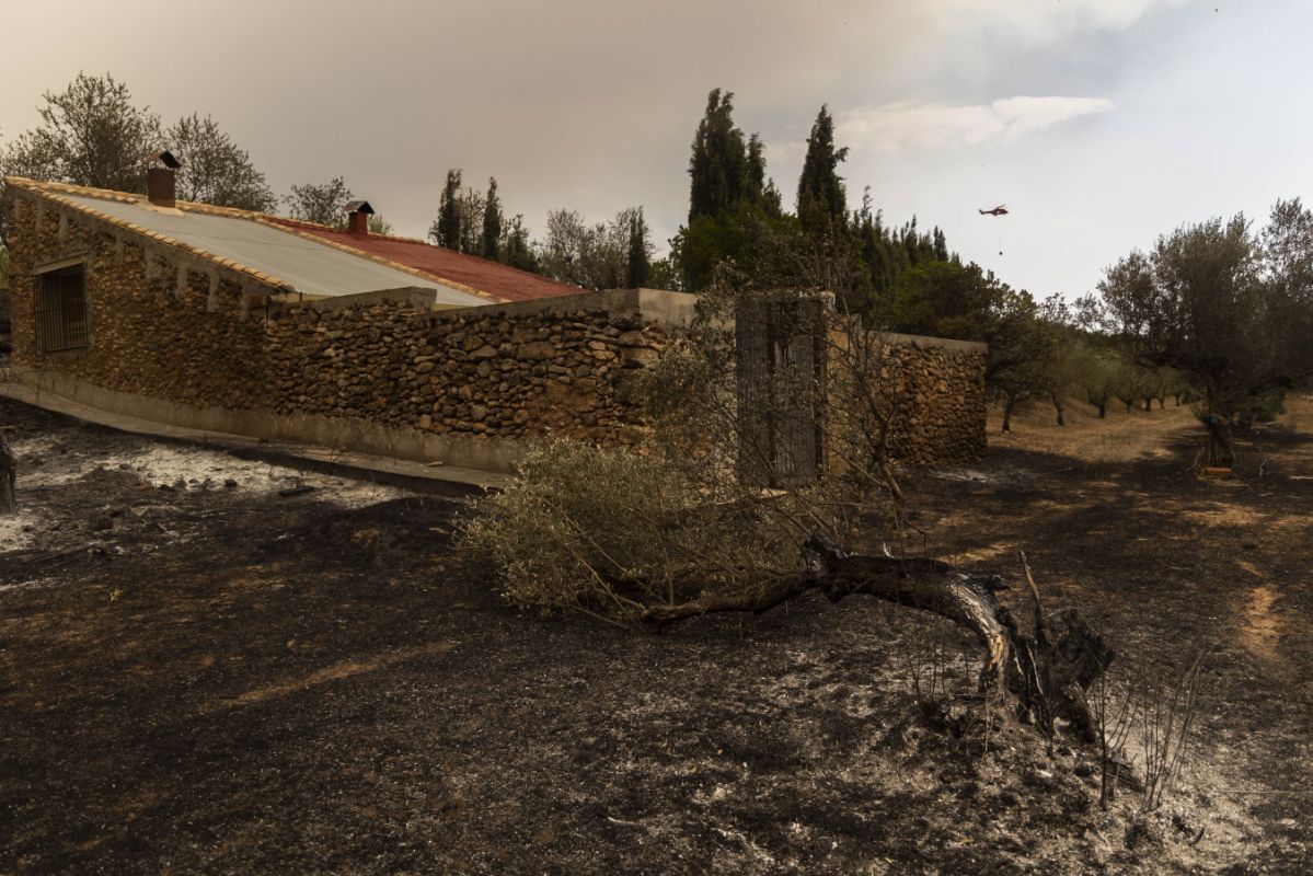 El incendio de Bejís, en imágenes