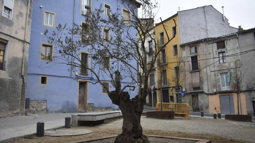 L’Arbre dels Desitjos de la campanya de Nadal de Manresa es replanta al carrer Aiguader, a les Escodines