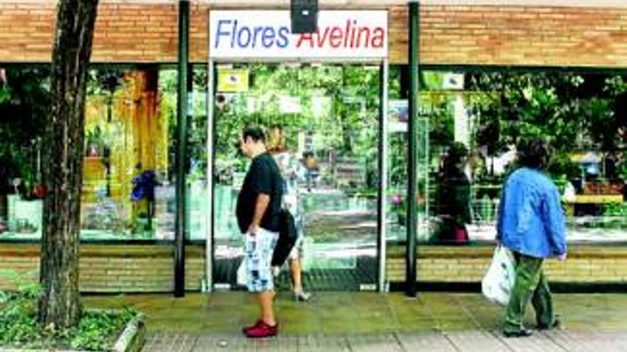 El consistorio retoma el cierre del quiosco de flores Avelina