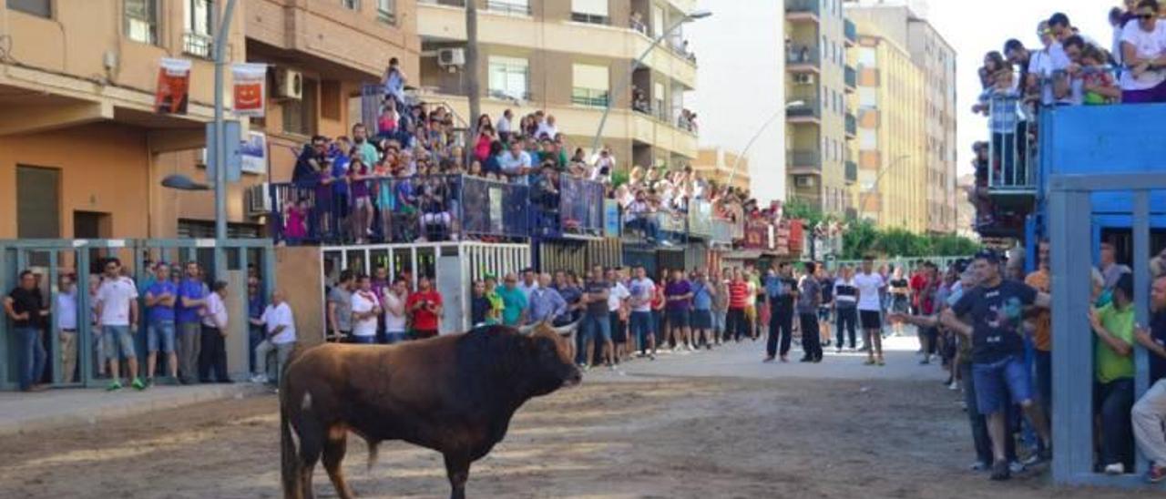 Vila-real ensalza a Sant Pasqual con una multitudinaria ofrenda