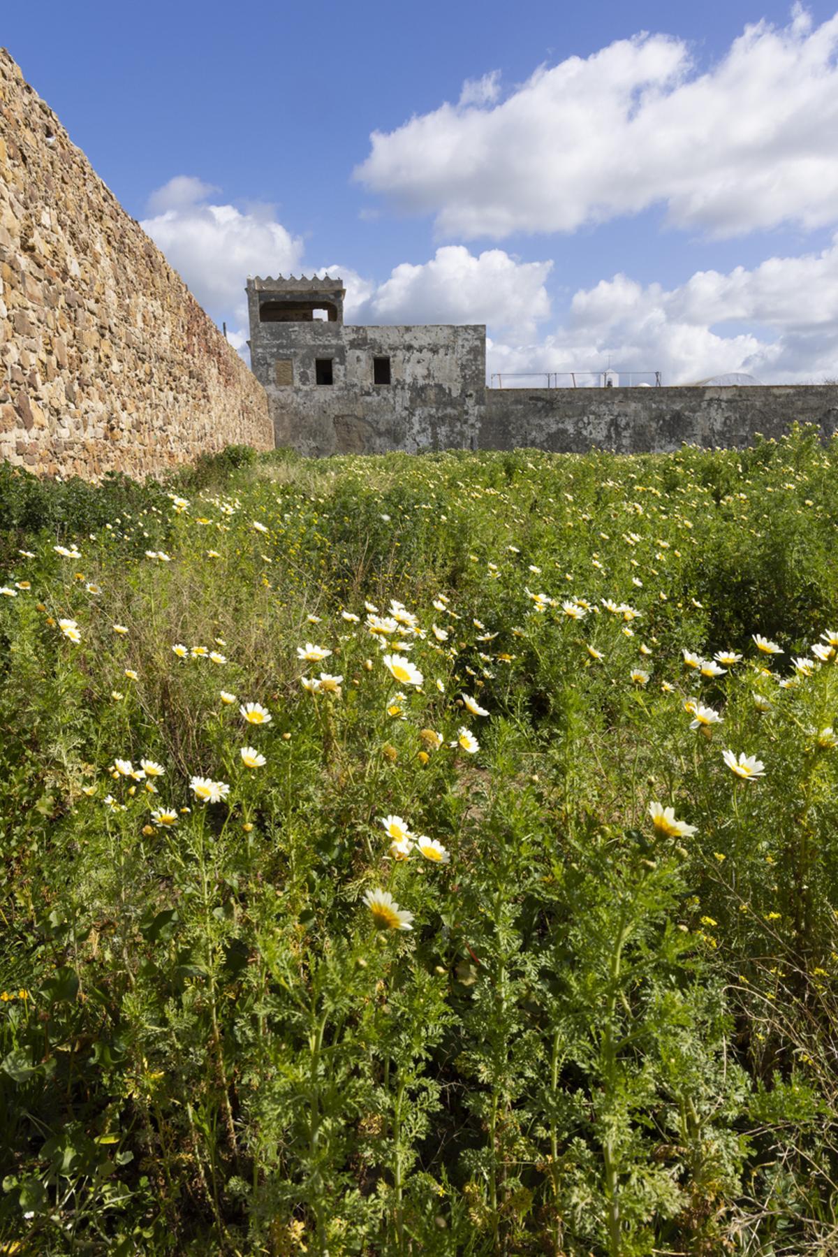 Patio de la muralla del castillo medieval del Castillo de las Almadrabas en Zahara de los Atunes.
