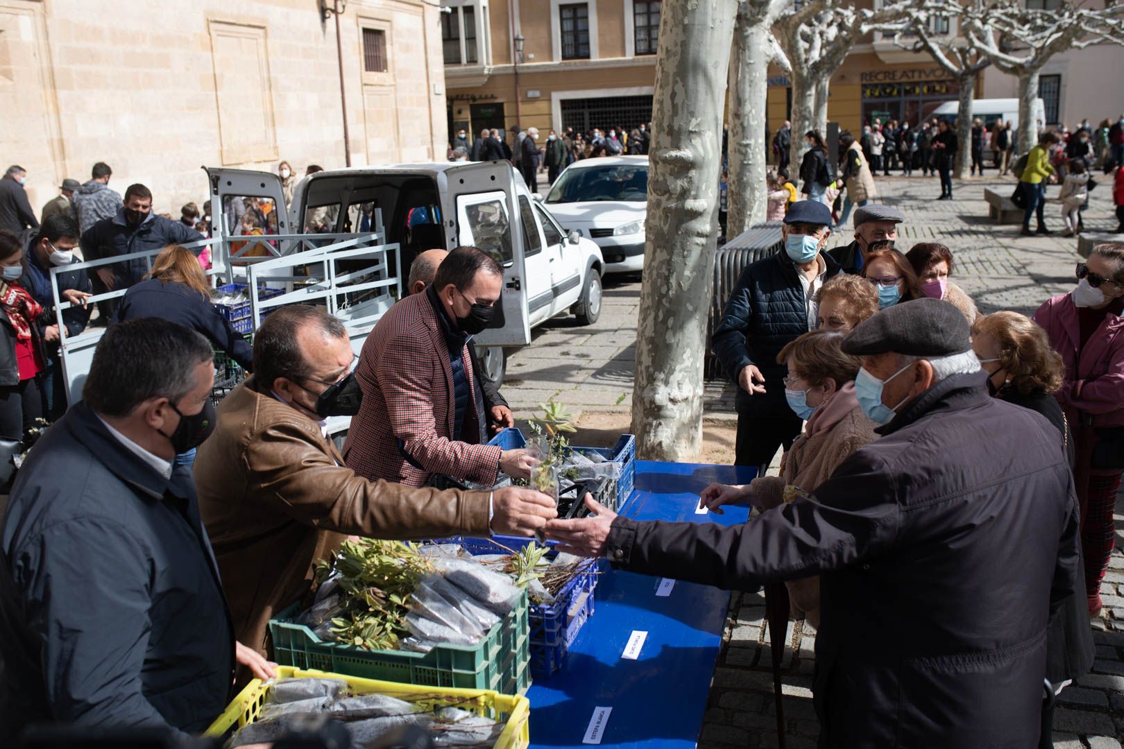 GALERÍA | La Diputación de Zamora celebra el Día del Árbol