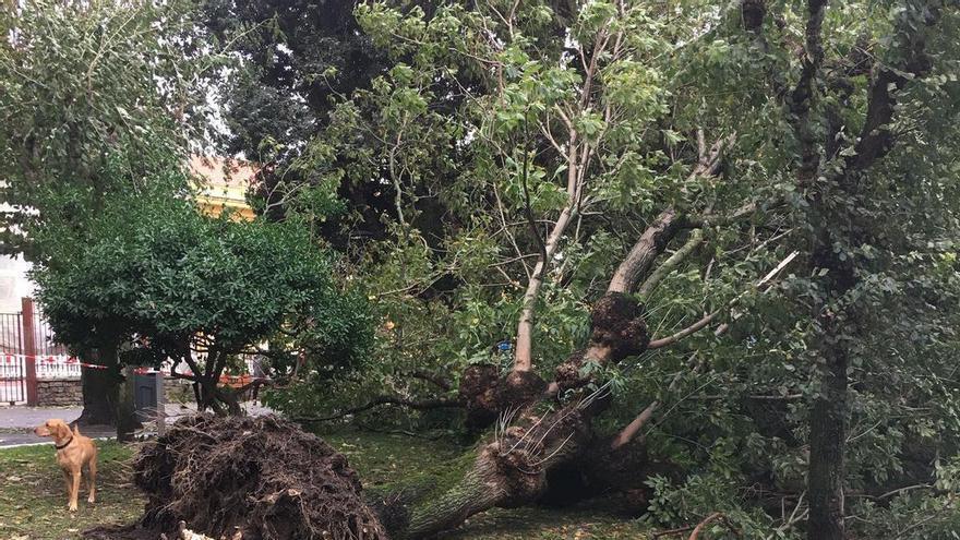 Incidencias por el temporal en A Coruña