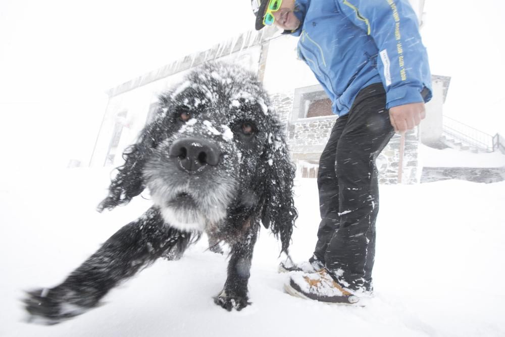 Así se vive en pleno temporal de Nieve en Leitariegos