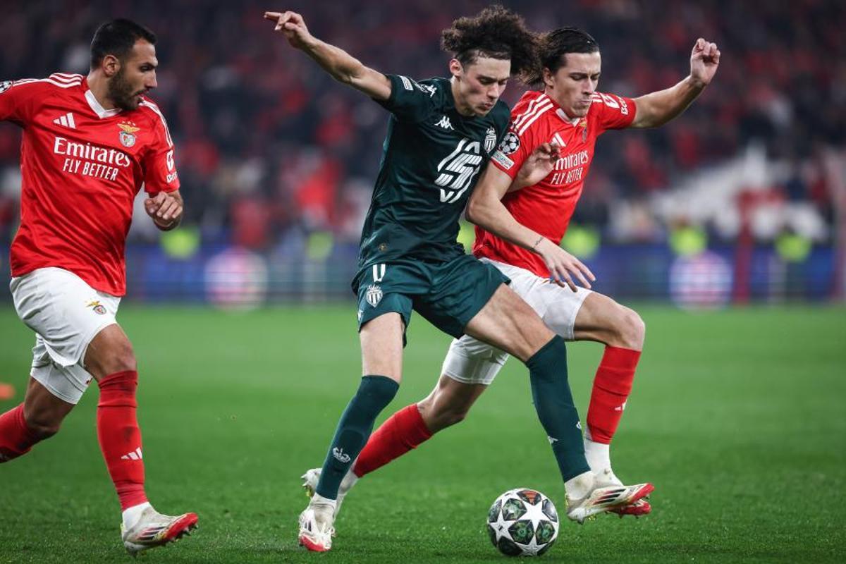 Vivid Real Madrid - Mónaco: Resumen, Resultado Y Goles Moment Nature Vivid Real Madrid - Mónaco: Resumen, Resultado Y Goles Moment Nature