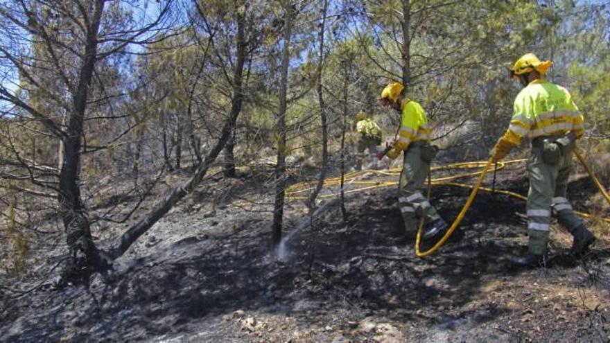 Miembros de las brigadas forestales rematan la extinción del fuego en la ladera de Sant Antoni