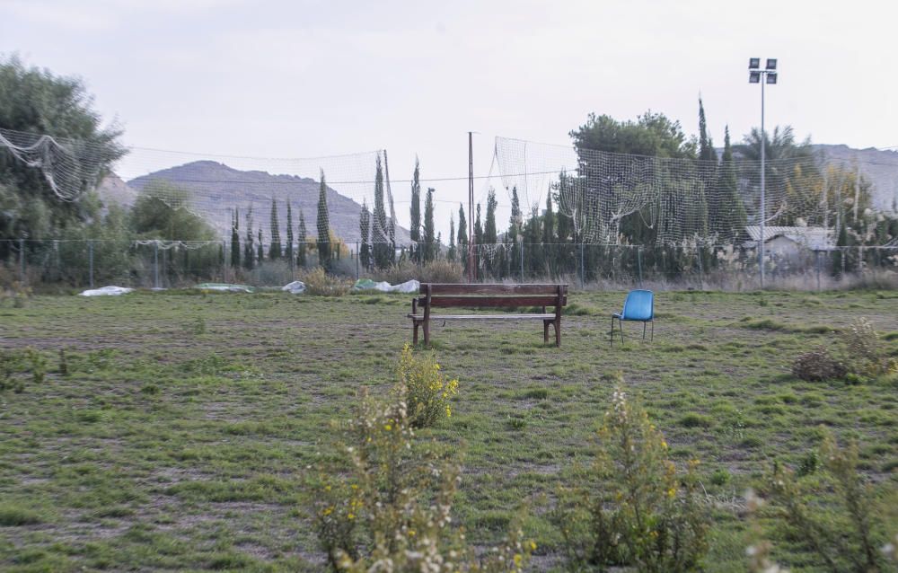 Una jungla en Fontcalent