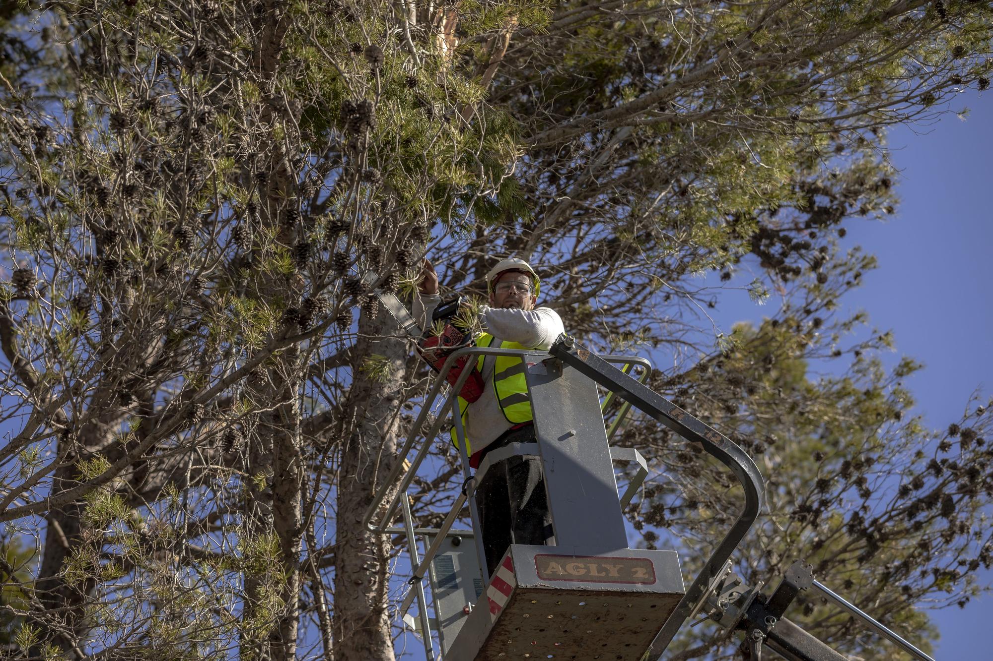 Borrasca Juliette en Mallorca | Caos y belleza en la Serra de Tramuntana