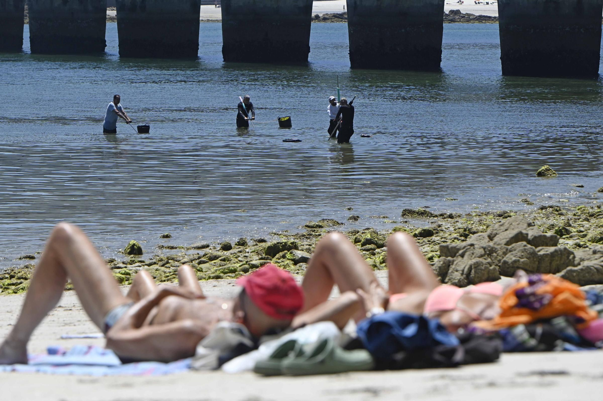 Lección de marisqueo para bañistas