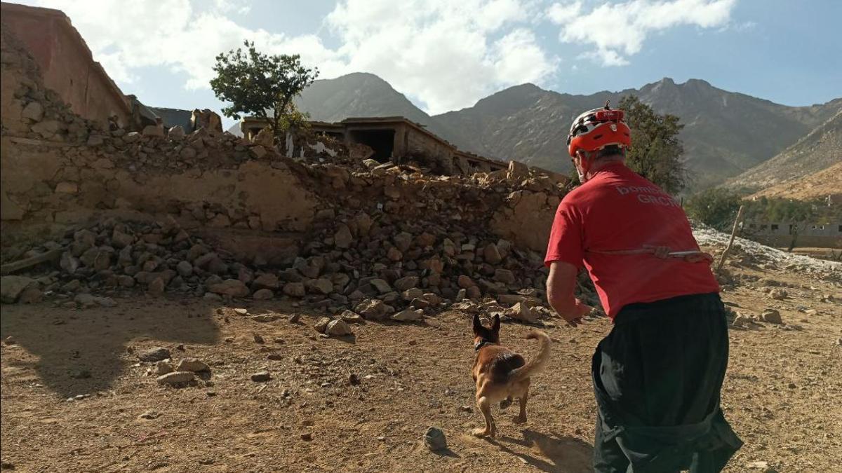 Un bombero catalán del grupo canino lanza a su perro en busca de supervivientes en una aldea del Atlas. Bombers
