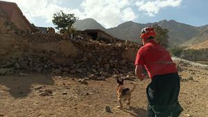 Un bombero catalán del grupo canino lanza a su perro en busca de supervivientes en una aldea del Atlas. 