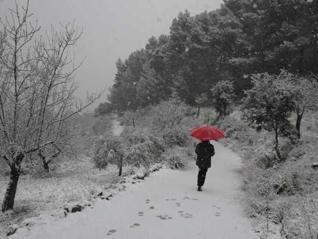 Schnee Mallorca Winter 2017