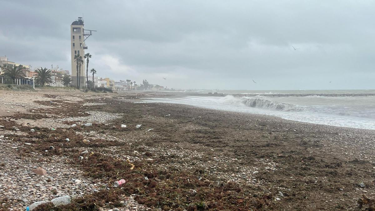 La imagen que han dejado los sucesivos temporales en las playas de Nules.