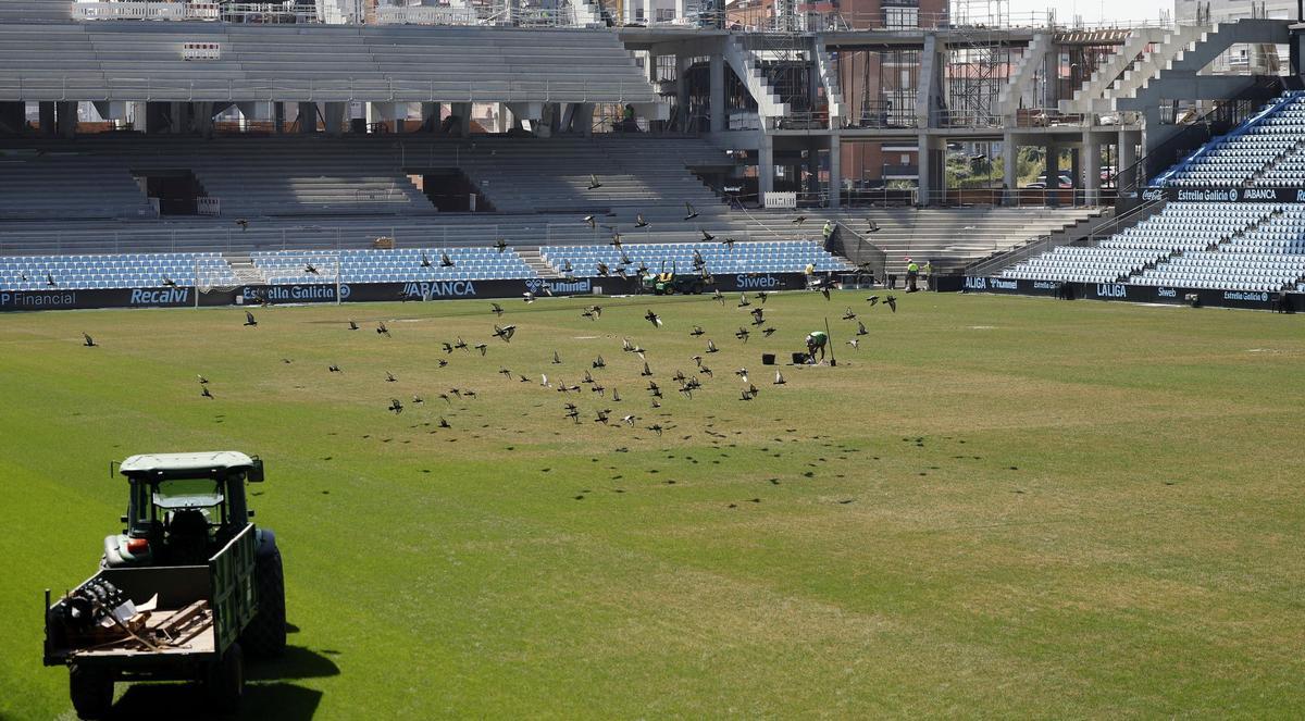 El Celta inicia la retirada del césped dañado en Balaídos